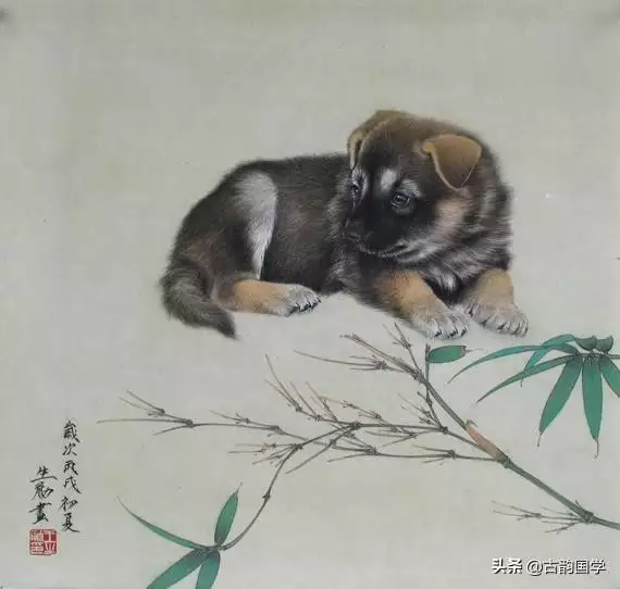 属相龙适合戴什么饰品，属龙的适合戴什么首饰