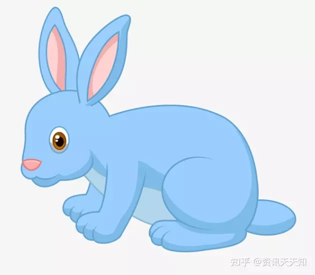 2、属兔下半年运势:属兔人全年运势