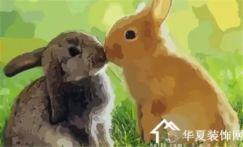 2、用什么化解鼠兔相刑:兔鼠相刑怎么化解