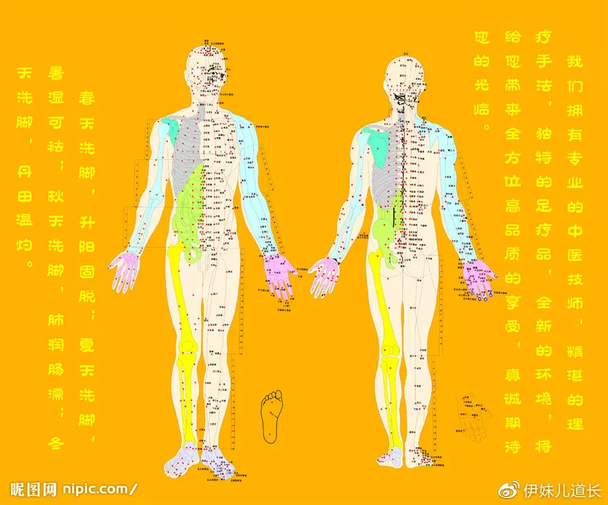 三焦经五行属性：三焦经是属五行中的哪一行？