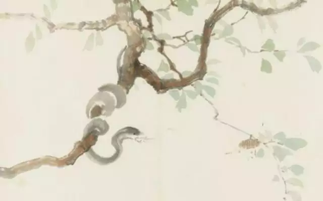 屬蛇的是哪些年份出生，屬蛇的是哪年生人