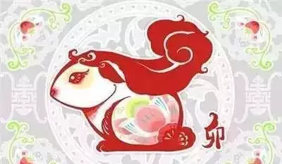 羊在風水中代表什麼，羊代表什麼象徵意義