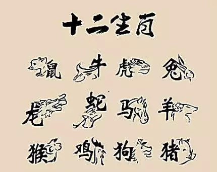 属虎是不是命不好，十羊九不全是什么意思