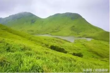 022年生肖運程屬猴，屬牛的人2022
