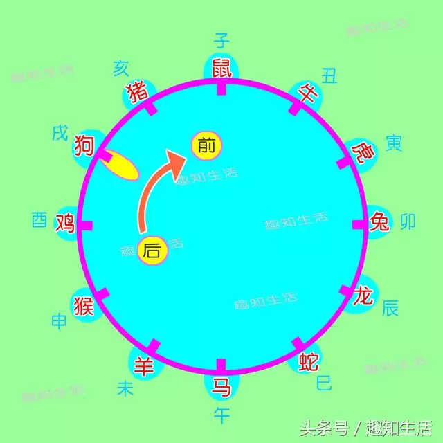 十二生肖怎麼算年齡，一說生肖就能算出年齡