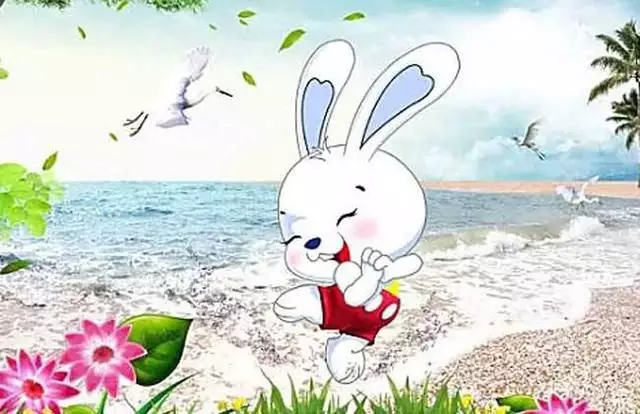 3、属兔人命中注定的婚姻:年属兔人的婚姻