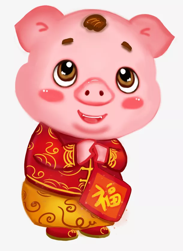 2019年的猪五行属什么