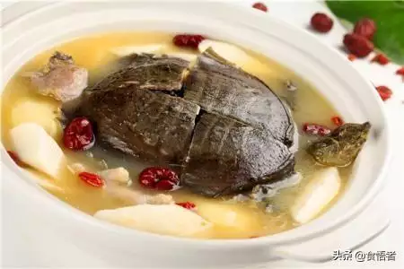 男人調養身體的食譜，男性養生茶都有哪些