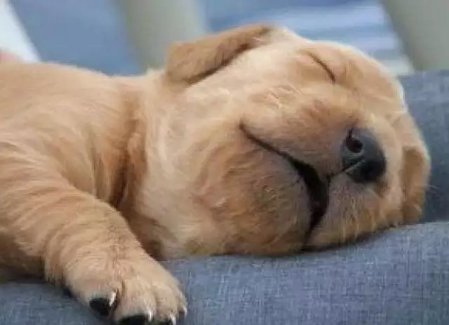 3、千萬不要亂睡覺會改命:睡前有這4個習慣的人，壽命可能會比較短？