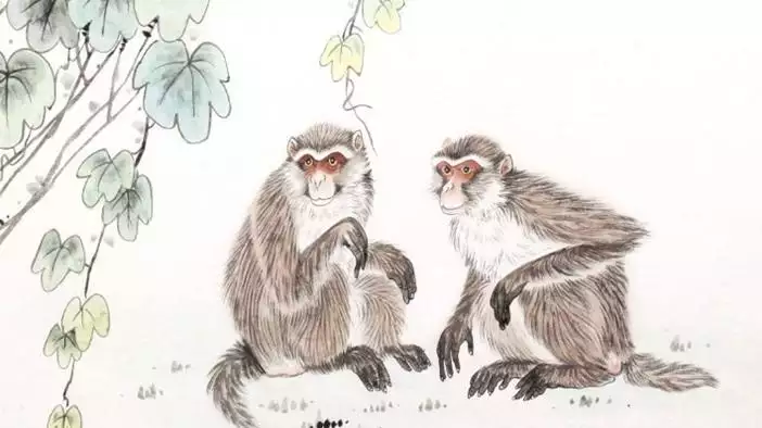 4、属猴人命中注定的另一半:真的有命中注定的另一半吗？