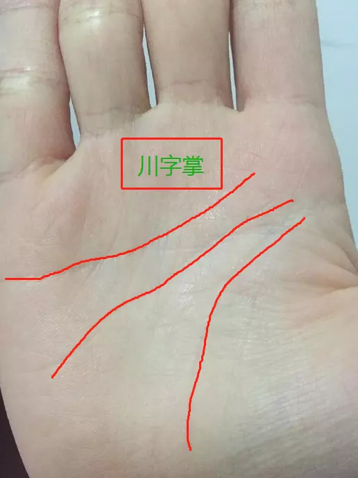 3、怎么在陶白白看本周运势:陶白白什么梗?