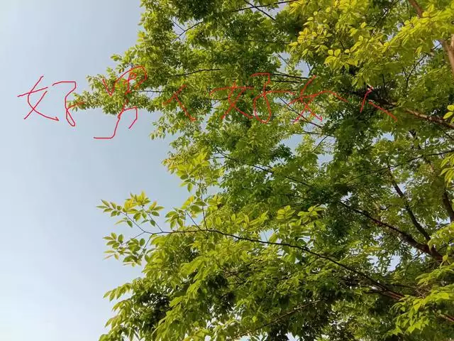 為什麼不娶初一女不嫁十五男,男三不娶女三不嫁