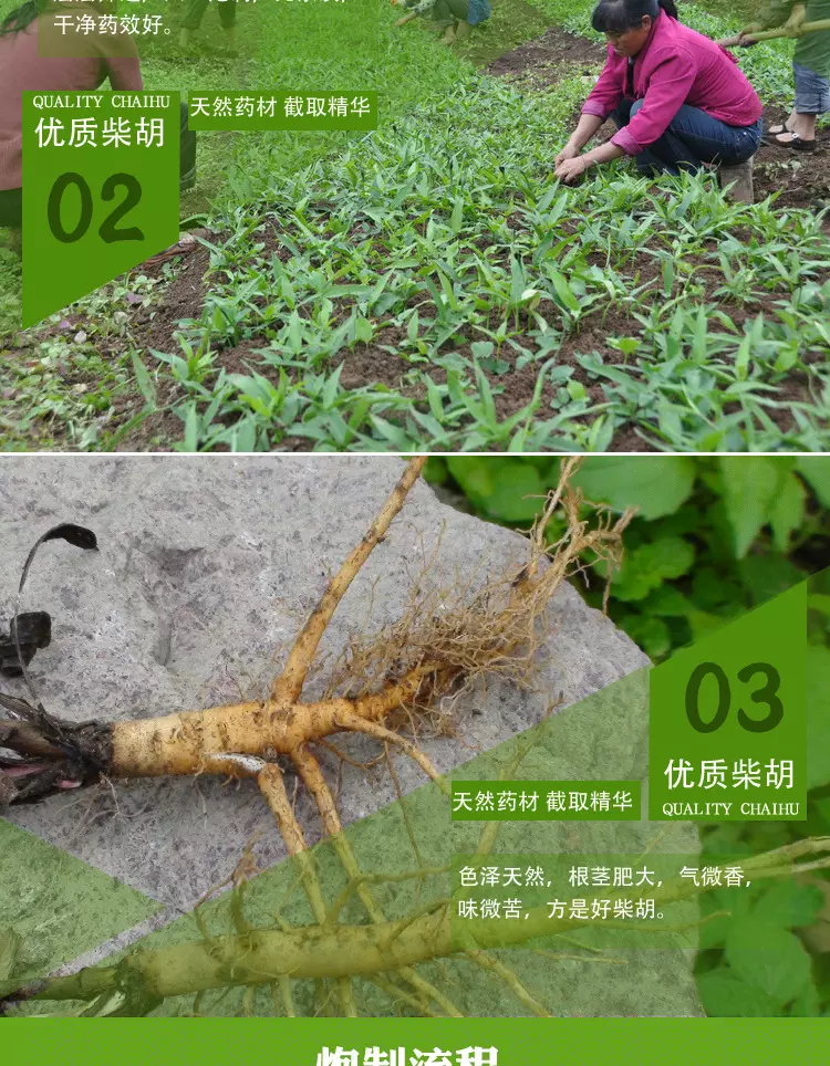 2、懶人種植十大緊缺藥材:十大緊缺藥材