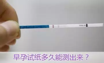 3、怀孕自测男女简单方法:自测男女最准的方法
