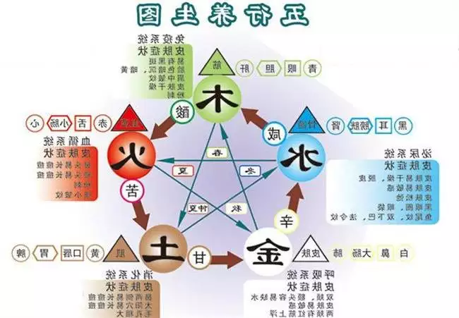 桦是什么意思五行属性