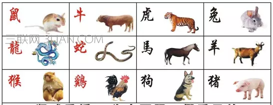 十二生肖順序年齡表，十二生肖年齡順序排列