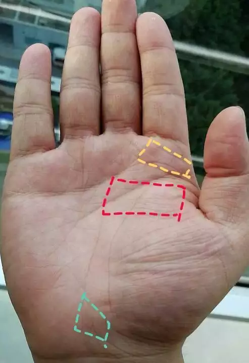 1、姻缘线怎么看手相?:如何看男人的手相看婚姻