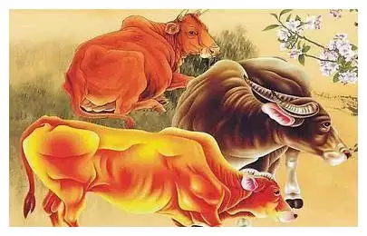 3、属相运势年生肖运程:年运势12生肖运势