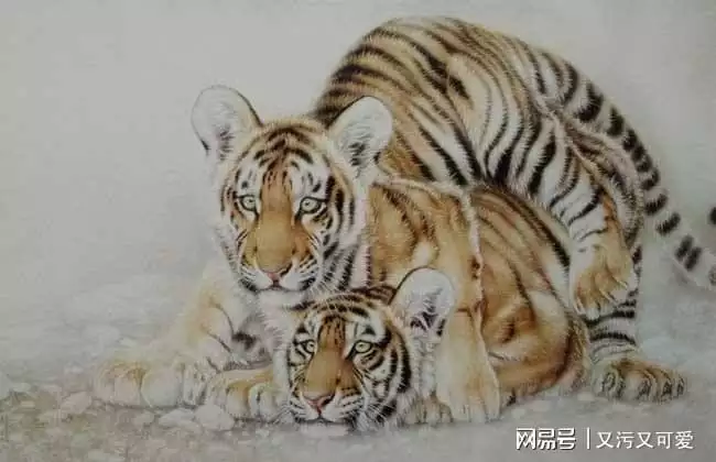 98年属虎的在本命年结婚好吗，2022年属虎本命年结婚好吗