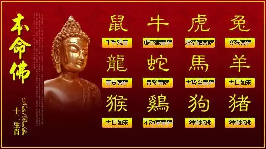 十二生肖運勢每月運程，2022 年每個月的屬相
