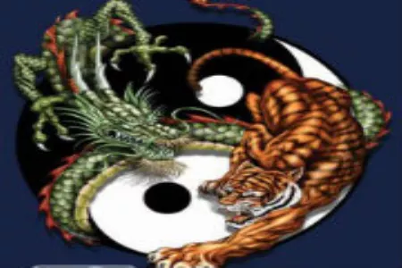 2、龍和虎婚配合適嗎:龍和虎相配嗎