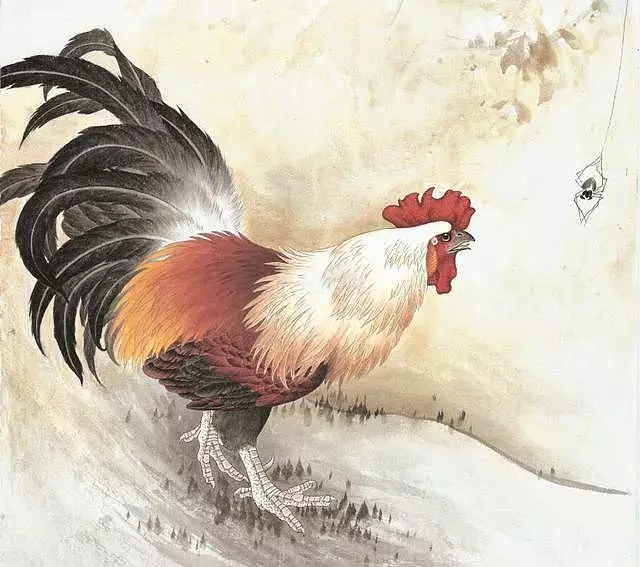 1、兔子鸡年运势如何:鸡年属兔的运气