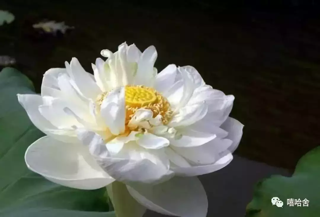 3、最簡單看到自己的前世:怎麼知道自己的前世
