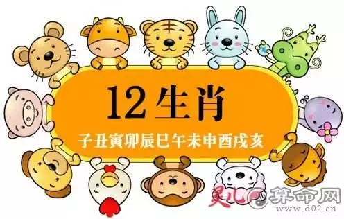 十二生肖每天的運勢查詢下載，12生肖每周每月每日運勢