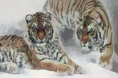 8年屬虎考公務員,屬虎的今年考試走運情況"