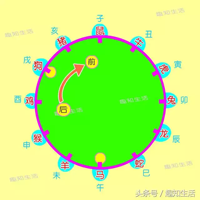 十二生肖怎麼算年齡，一說生肖就能算出年齡