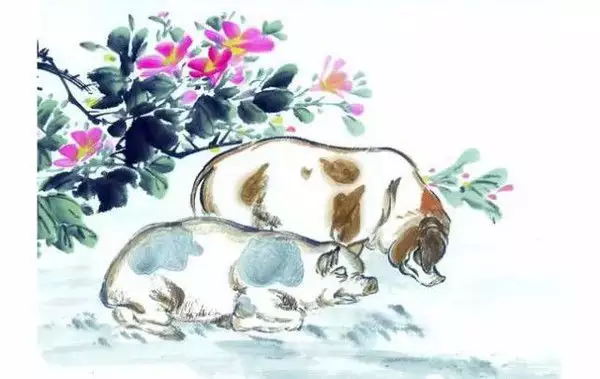 1、属猪年农历5月运势:属猪人在5月运势会怎样
