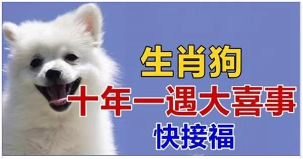 1、18年属狗的运势如何:属狗人年运势