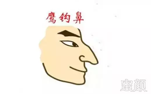 8、鹰钩鼻的男人的运势:想问下，鹰钩鼻的男人是不是很坏的