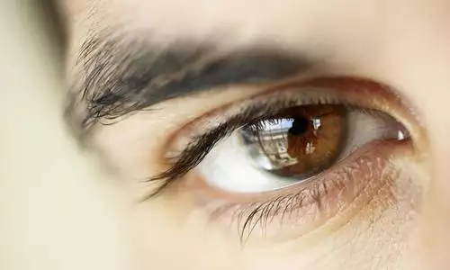 1、男属猴容易养小三吗:属猴的和什么属相不配