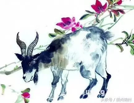 979年屬羊的太歲是誰，屬羊的太歲是哪個將軍"