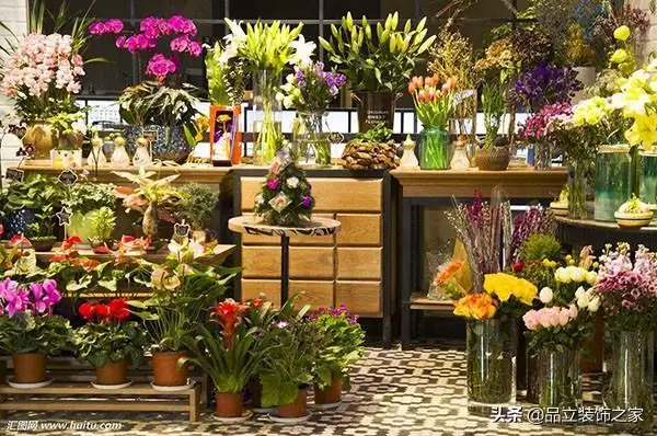 屬羊的開店在哪個方向，屬羊床頭朝哪個方向好