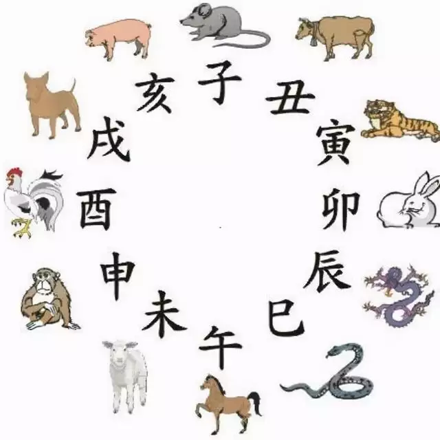 2生肖大全表，12生肖顺序图"