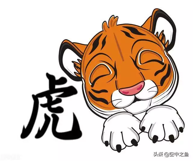 属虎人更佳婚姻对象，属虎的女人更佳配偶