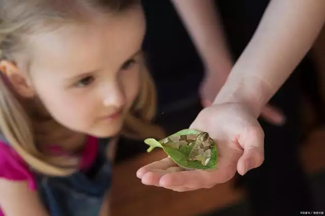 022年虎宝宝最新最特别乳名，属虎宝宝有寓意的乳名"