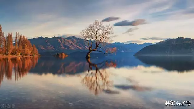 属兔的今年多大岁数请告诉我，2022 年属兔的多大年龄