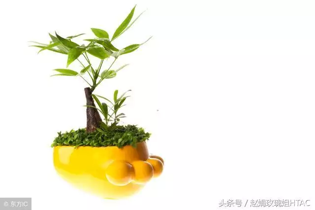 属狗的旺财招财摆件，属猴旺财的摆件