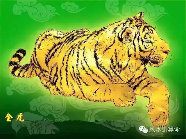 屬虎都是哪年出生的,屬虎那一年的