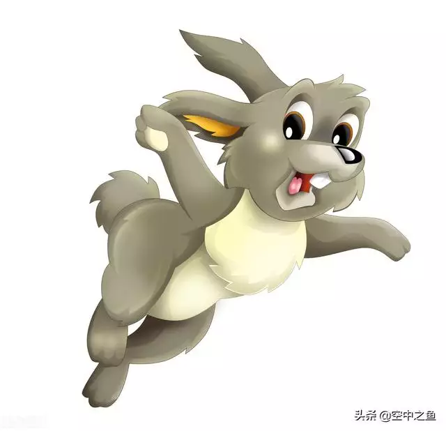 屬兔的今年運氣怎麼樣好不好，2022 年兔年運勢及運程