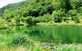 5、一字真正属水:名字一字属水一字属土好吗