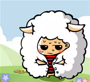 1、属羊双鱼座年运势:属羊的双鱼座今年运势如何