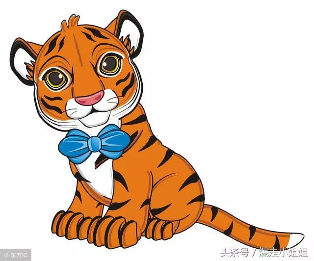 980猴的大运之年，属猴40岁后有十年大运"