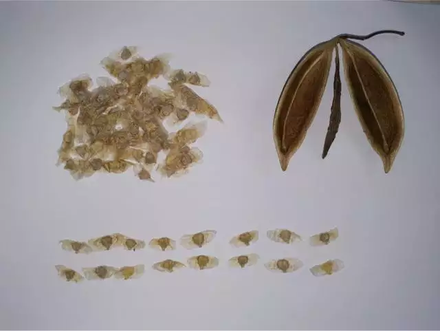 屬馬吉祥微信名字，寓意吉祥的公司名字
