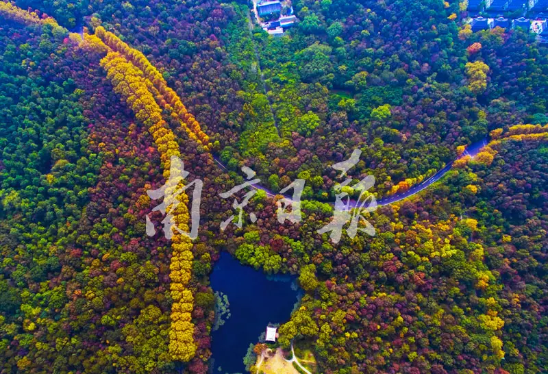 牛年双胞胎孩子取名：最好听的龙凤胎名字