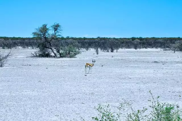 水墨星座今日運勢,超準星座運勢