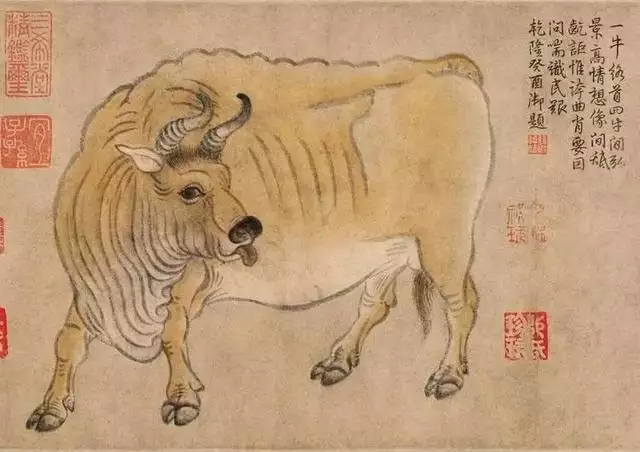 022年是60年一遇的虎宝宝，为什么家里要有大属相"